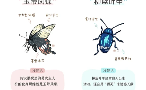 一天一个小百科&mdash;常见昆虫图鉴（二）_中小学精品资料(高清可打印)_百科知识大全集312份高清资料整理版