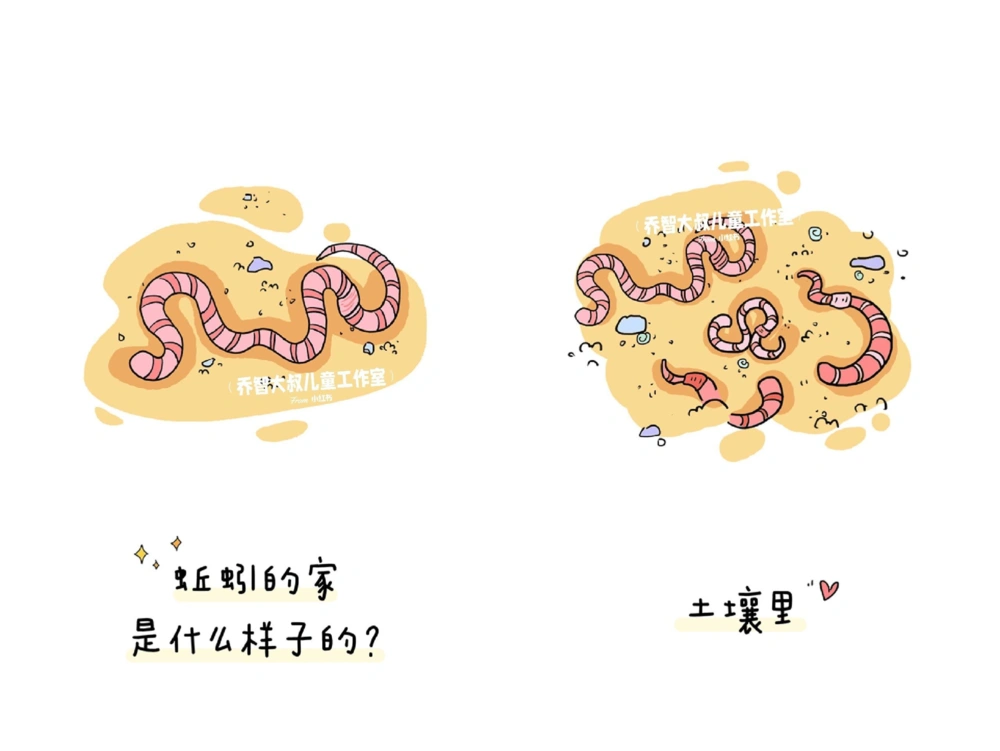 一天一个小百科&mdash;&mdash;动物的家（二）_中小学精品资料(高清可打印)_百科知识大全集312份高清资料整理版