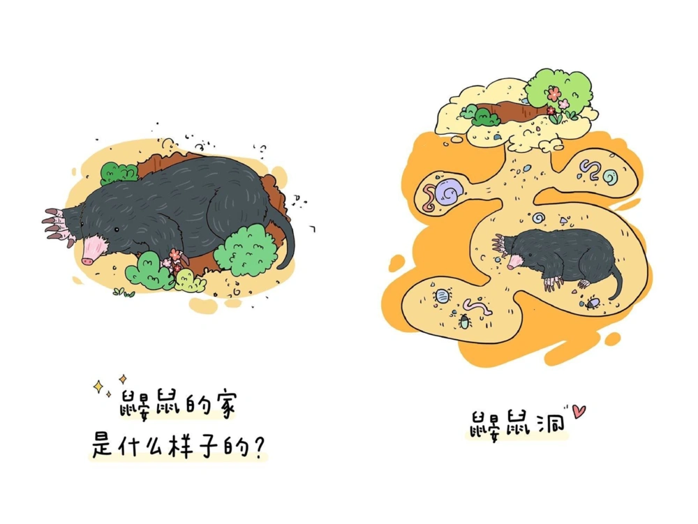 一天一个小百科&mdash;&mdash;动物的家（二）_中小学精品资料(高清可打印)_百科知识大全集312份高清资料整理版