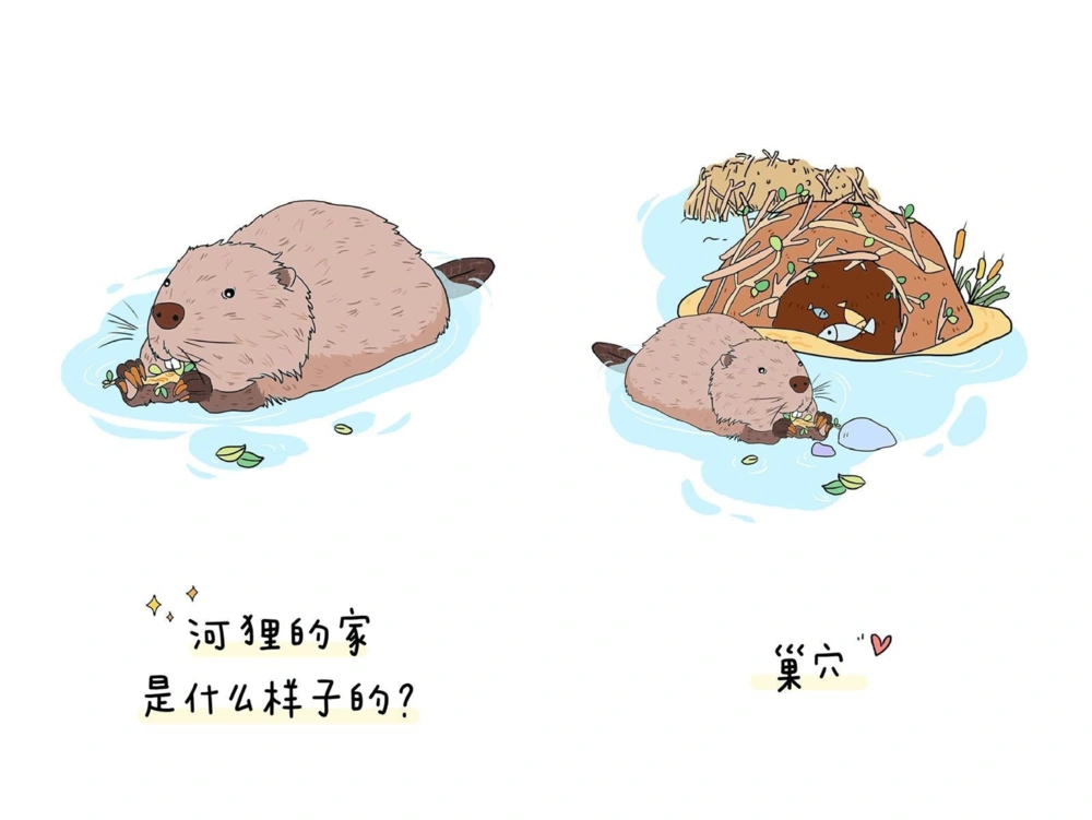 一天一个小百科&mdash;&mdash;动物的家（二）_中小学精品资料(高清可打印)_百科知识大全集312份高清资料整理版