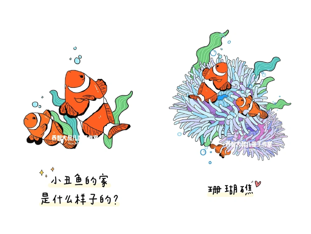 一天一个小百科&mdash;&mdash;动物的家（二）_中小学精品资料(高清可打印)_百科知识大全集312份高清资料整理版