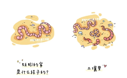 一天一个小百科&mdash;&mdash;动物的家（二）_中小学精品资料(高清可打印)_百科知识大全集312份高清资料整理版