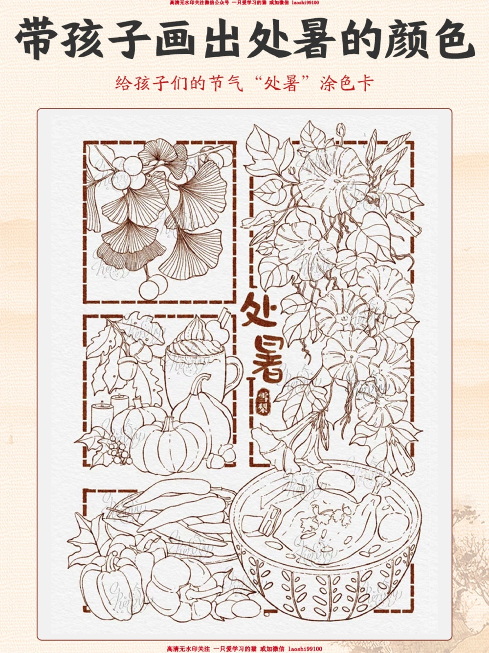 24节气科普让小朋友认识二十四节气之处暑_2025抖音最火小学全科全年级资料大全集超完整版_家庭教育VIP资源禁止外传