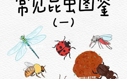 一天一个小百科&mdash;常见昆虫图鉴（一）_中小学精品资料(高清可打印)_百科知识大全集312份高清资料整理版