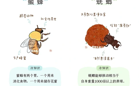 一天一个小百科&mdash;常见昆虫图鉴（一）_中小学精品资料(高清可打印)_百科知识大全集312份高清资料整理版