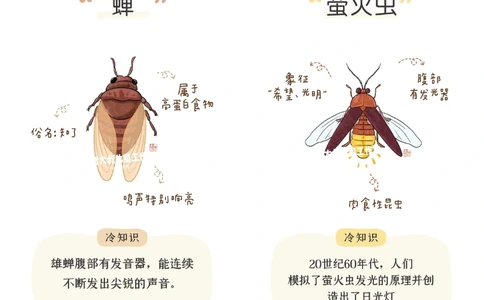 一天一个小百科&mdash;常见昆虫图鉴（一）_中小学精品资料(高清可打印)_百科知识大全集312份高清资料整理版