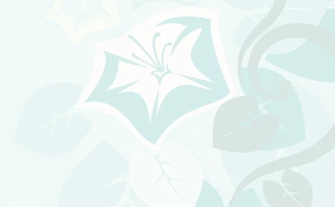 002.素雅粉蓝_表格式_适用于应届生_2页式_无内容_无封面_26考研复试_复试真题、简历模板、补充资料（旧版资料）_考研经典面试系列（复试技巧调剂指导口语指导自我介绍导师模板）