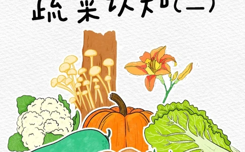 一天一个小百科&mdash;&mdash;蔬菜认知（二）_中小学精品资料(高清可打印)_百科知识大全集312份高清资料整理版