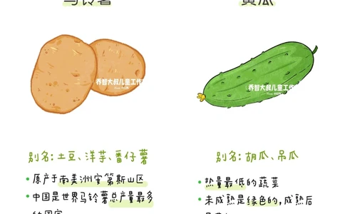 一天一个小百科&mdash;&mdash;蔬菜认知（二）_中小学精品资料(高清可打印)_百科知识大全集312份高清资料整理版