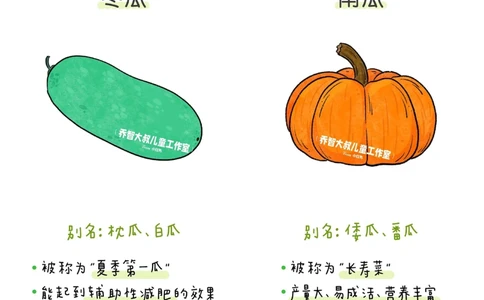 一天一个小百科&mdash;&mdash;蔬菜认知（二）_中小学精品资料(高清可打印)_百科知识大全集312份高清资料整理版