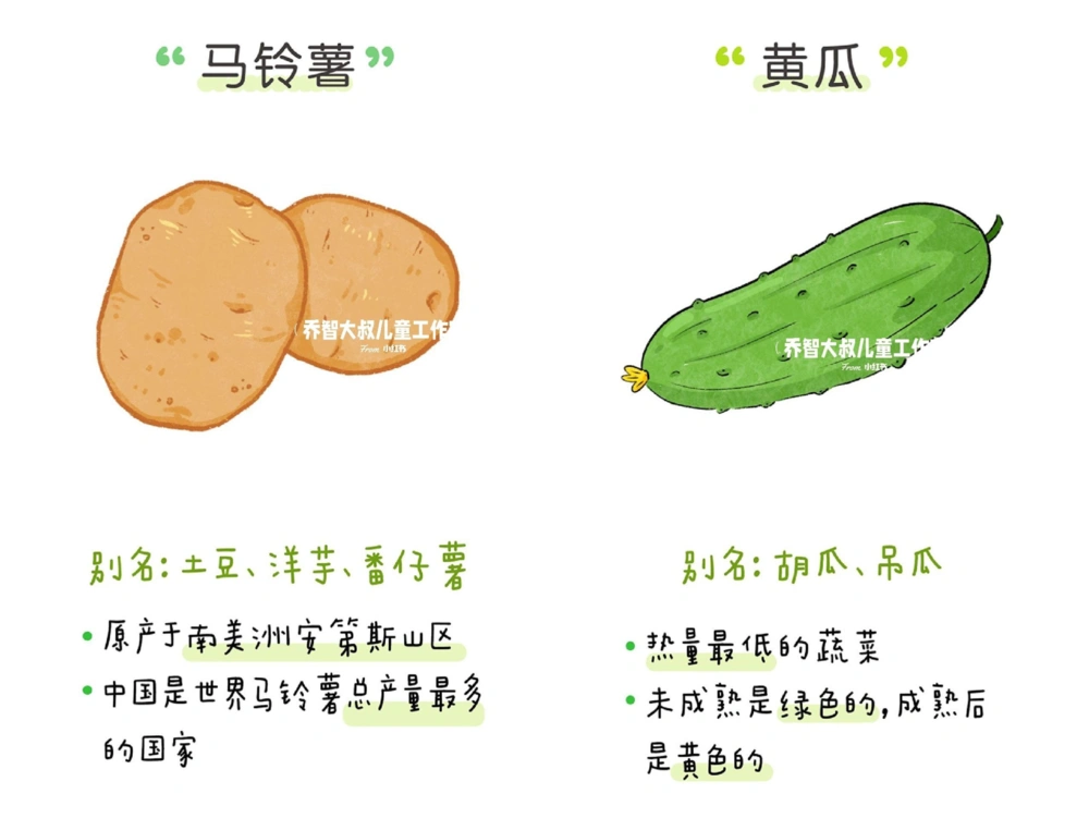 一天一个小百科&mdash;&mdash;蔬菜认知（二）_中小学精品资料(高清可打印)_百科知识大全集312份高清资料整理版
