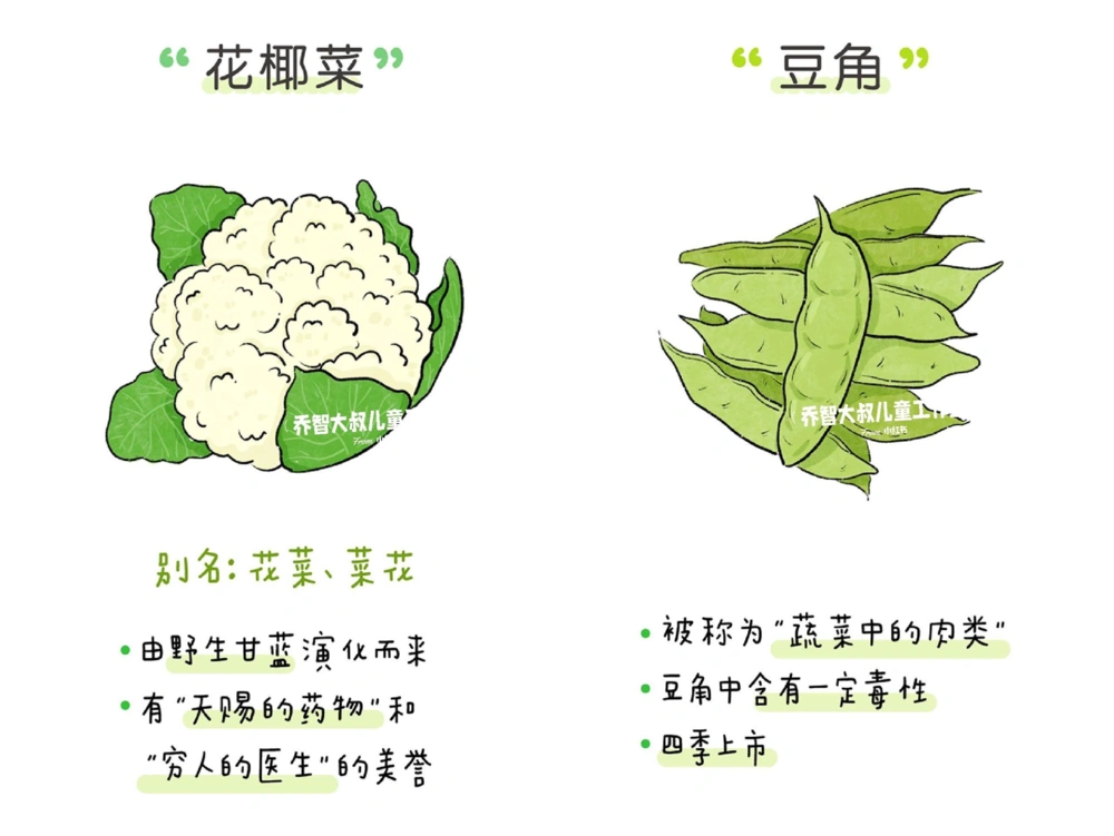 一天一个小百科&mdash;&mdash;蔬菜认知（二）_中小学精品资料(高清可打印)_百科知识大全集312份高清资料整理版