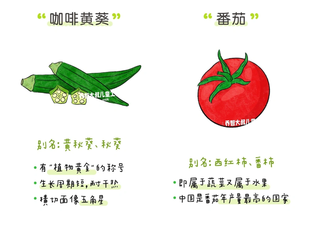一天一个小百科&mdash;&mdash;蔬菜认知（二）_中小学精品资料(高清可打印)_百科知识大全集312份高清资料整理版