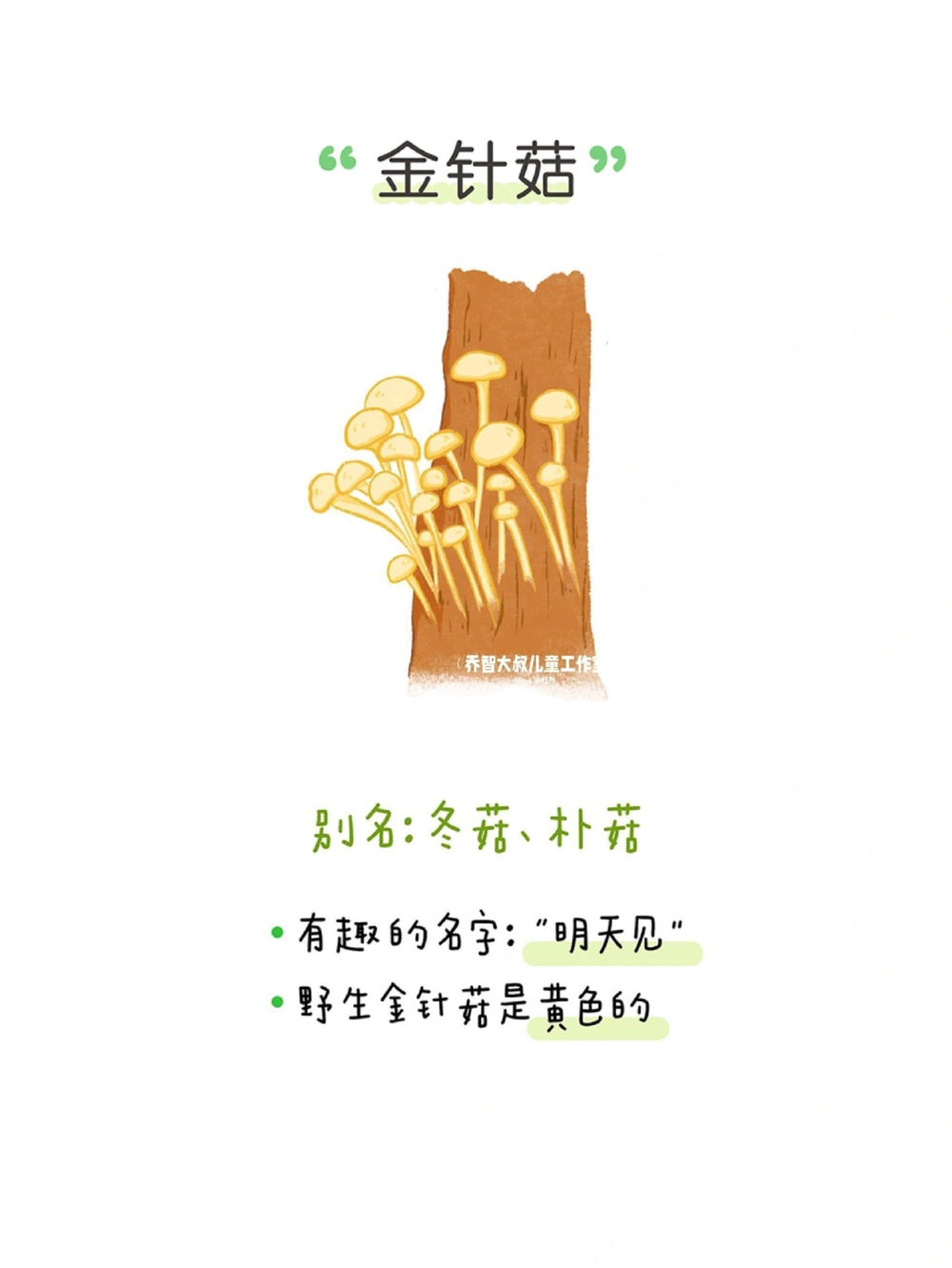 一天一个小百科&mdash;&mdash;蔬菜认知（二）_中小学精品资料(高清可打印)_百科知识大全集312份高清资料整理版