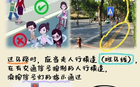 122交通安全日孩子必学的交通安全知识_中小学精品资料(高清可打印)_常识知识大全集140份高清资料整理版