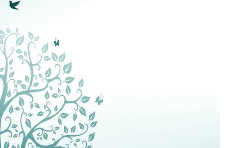 034.素净夕颜_罗列式_适用于应届生_2页式_无内容_有封面_26考研复试_10考研复试资料25_考研经典面试系列（复试技巧调剂指导口语指导自我介绍导师模板）_简历模板大全_50