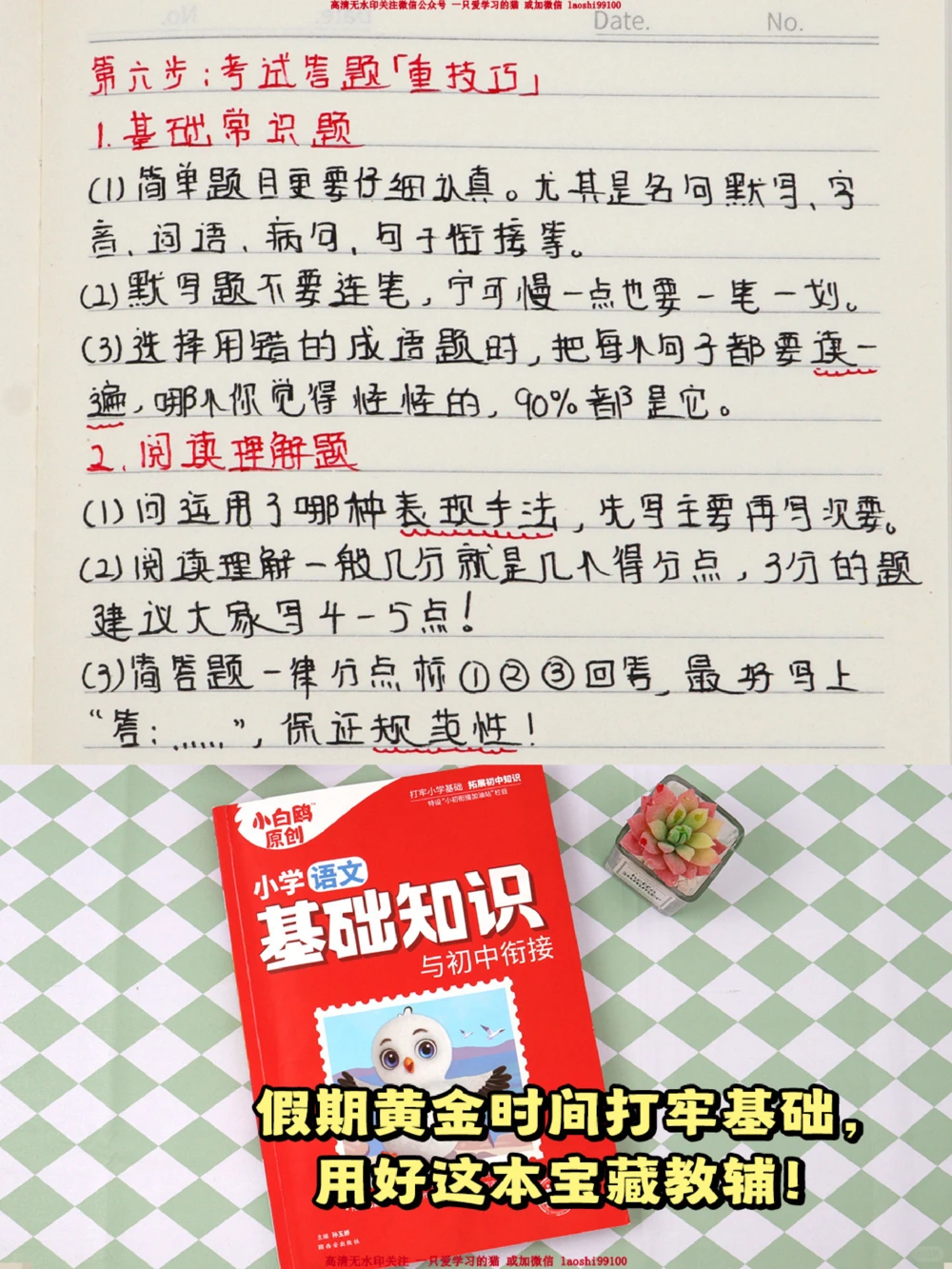 小学语文6步学习法-轻松掌握考试试卷_2025抖音最火小学全科全年级资料大全集超完整版_小学语文VIP资源禁止外传