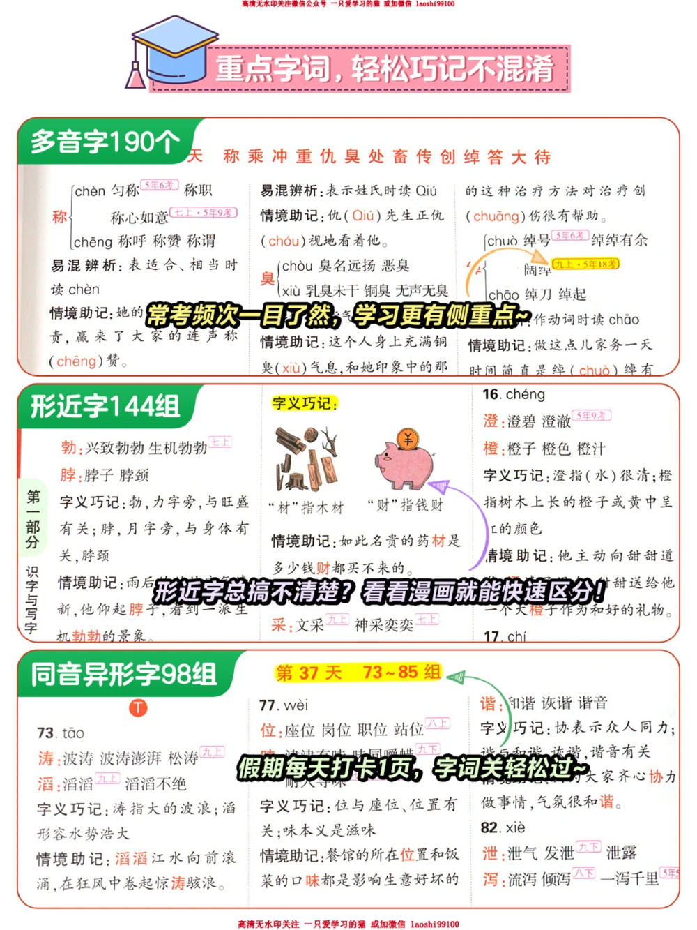 小学语文6步学习法-轻松掌握考试试卷_2025抖音最火小学全科全年级资料大全集超完整版_小学语文VIP资源禁止外传