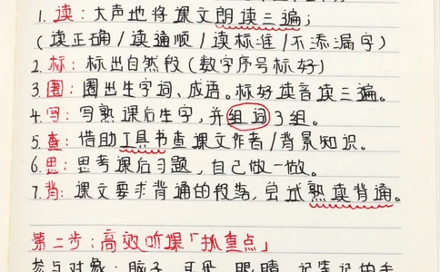 小学语文6步学习法-轻松掌握考试试卷_2025抖音最火小学全科全年级资料大全集超完整版_小学语文VIP资源禁止外传