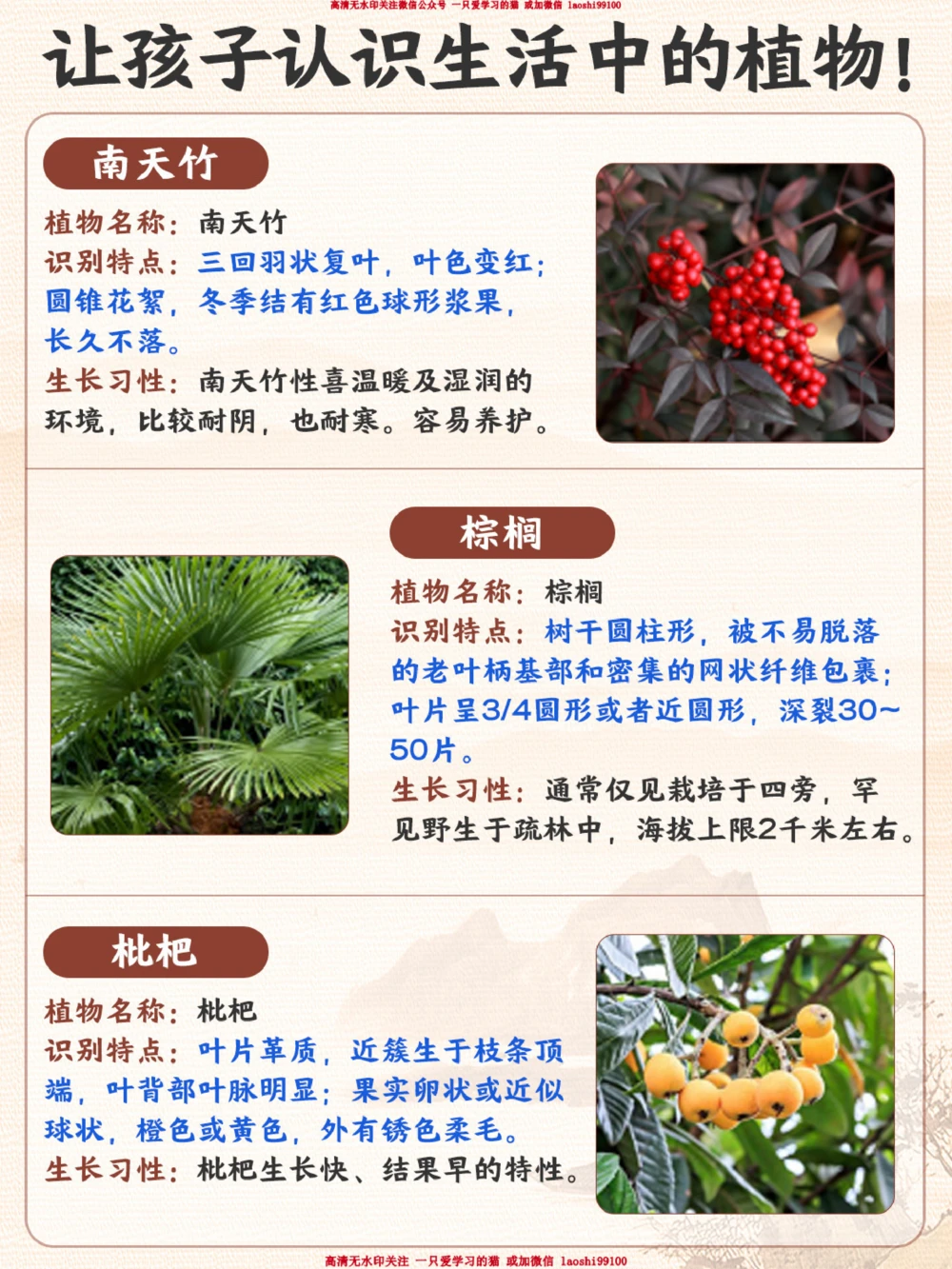 常见的植物-你家孩子都能认出来吗？_2025抖音最火小学全科全年级资料大全集超完整版_小学常识VIP资源禁止外传