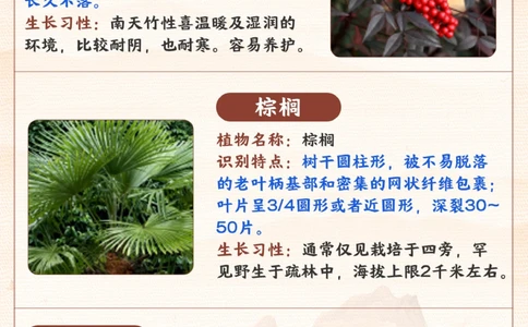 常见的植物-你家孩子都能认出来吗？_2025抖音最火小学全科全年级资料大全集超完整版_小学常识VIP资源禁止外传