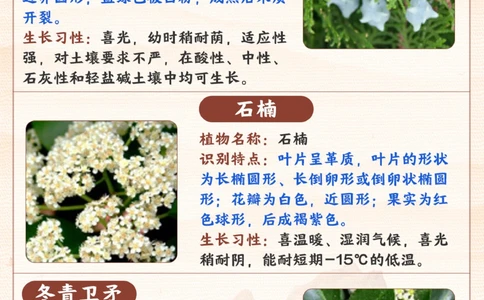 常见的植物-你家孩子都能认出来吗？_2025抖音最火小学全科全年级资料大全集超完整版_小学常识VIP资源禁止外传