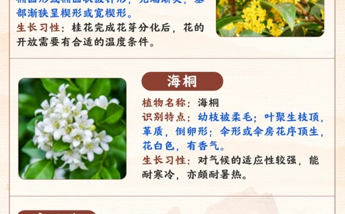 常见的植物-你家孩子都能认出来吗？_2025抖音最火小学全科全年级资料大全集超完整版_小学常识VIP资源禁止外传