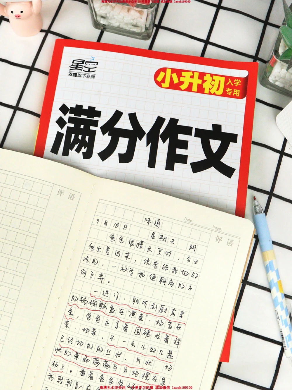 小学生满分作文摘抄味道_2025抖音最火小学全科全年级资料大全集超完整版_小学作文VIP资源禁止外传