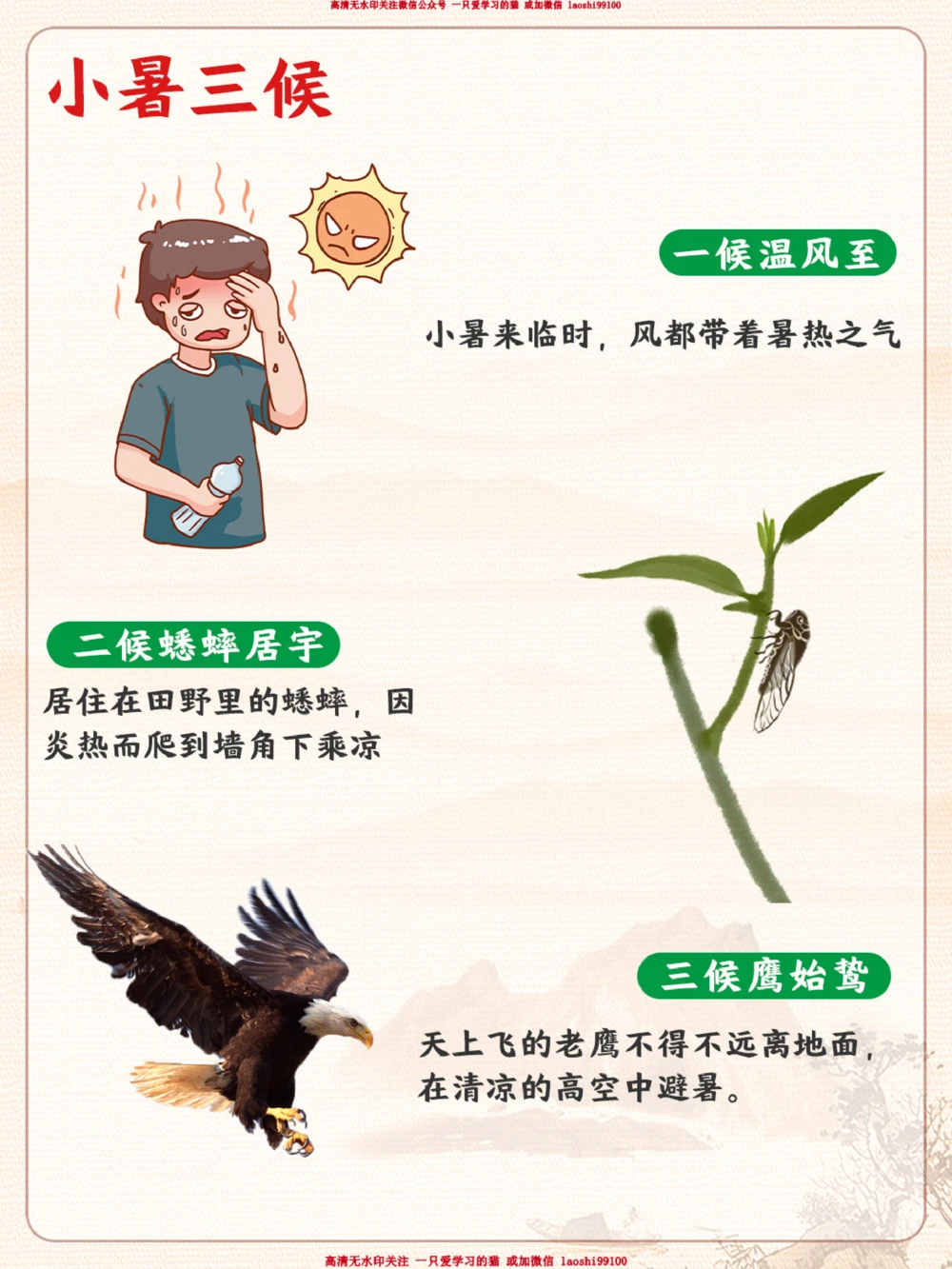 二十四节气之小暑-给孩子讲讲小暑习俗_2025抖音最火小学全科全年级资料大全集超完整版_小学常识VIP资源禁止外传