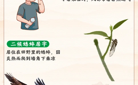 二十四节气之小暑-给孩子讲讲小暑习俗_2025抖音最火小学全科全年级资料大全集超完整版_小学常识VIP资源禁止外传