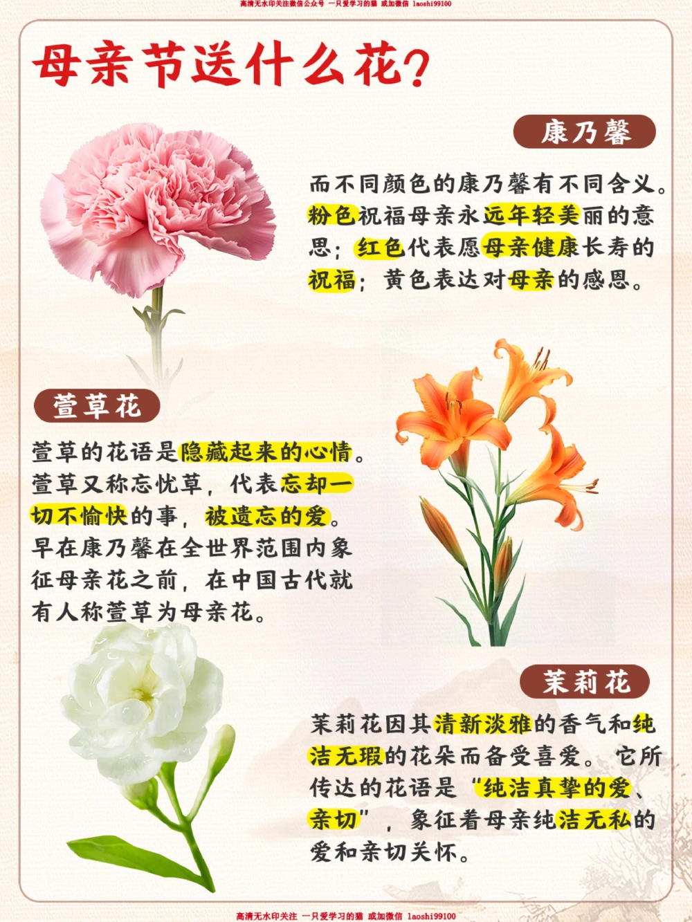 了解母亲节的小知识_2025抖音最火小学全科全年级资料大全集超完整版_小学常识VIP资源禁止外传