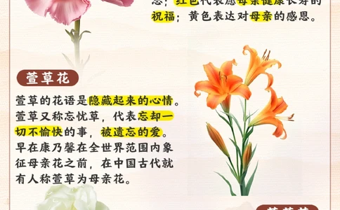 了解母亲节的小知识_2025抖音最火小学全科全年级资料大全集超完整版_小学常识VIP资源禁止外传