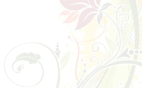 028.简洁花朵_表格式_适用于应届生_2页式_无内容_无封面_26考研复试_10考研复试资料25_考研经典面试系列（复试技巧调剂指导口语指导自我介绍导师模板）_简历模板大全_39