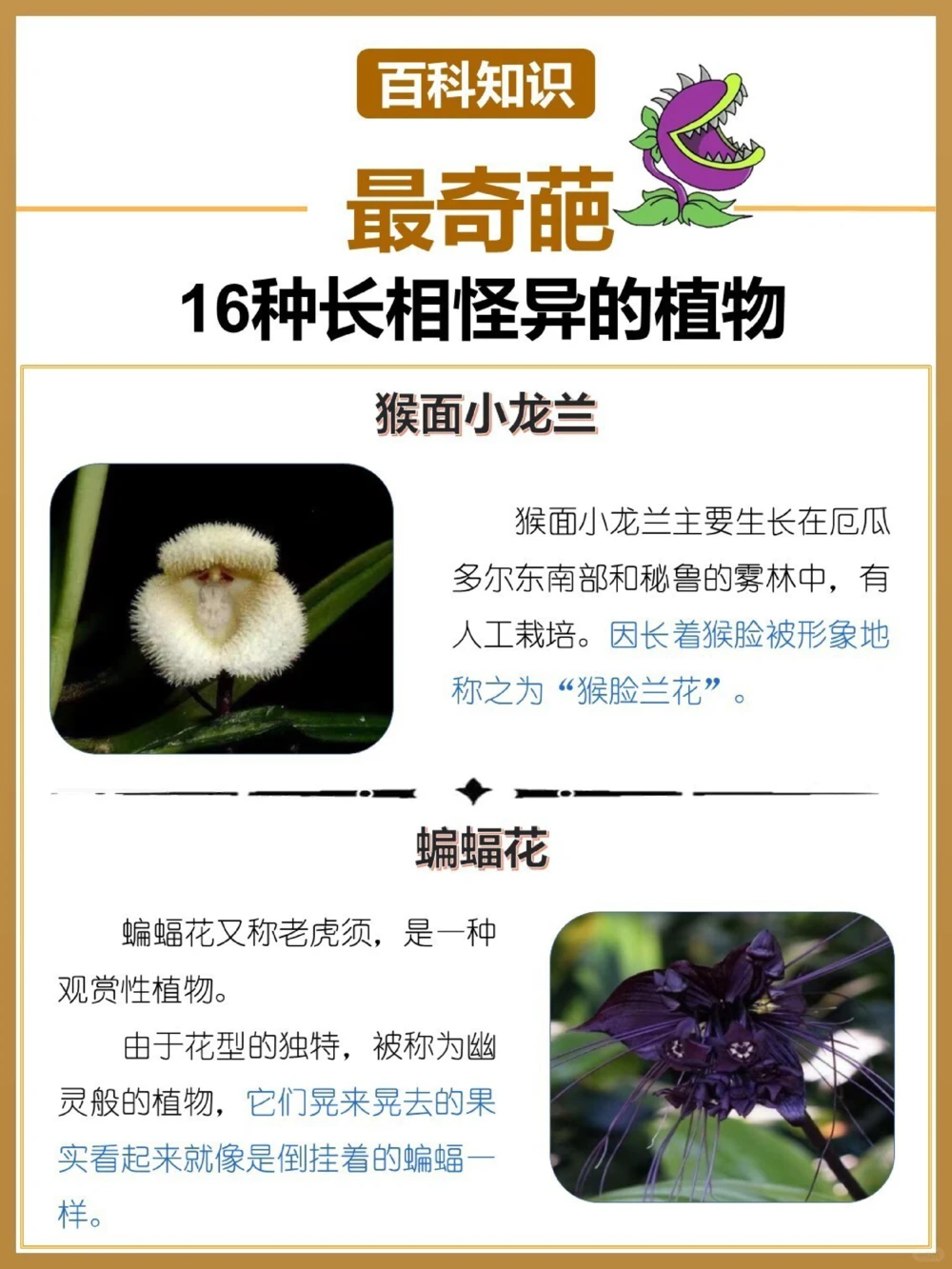 最奇葩16种长相怪异的植物，你认识几个？_中小学精品资料(高清可打印)_百科知识大全集312份高清资料整理版