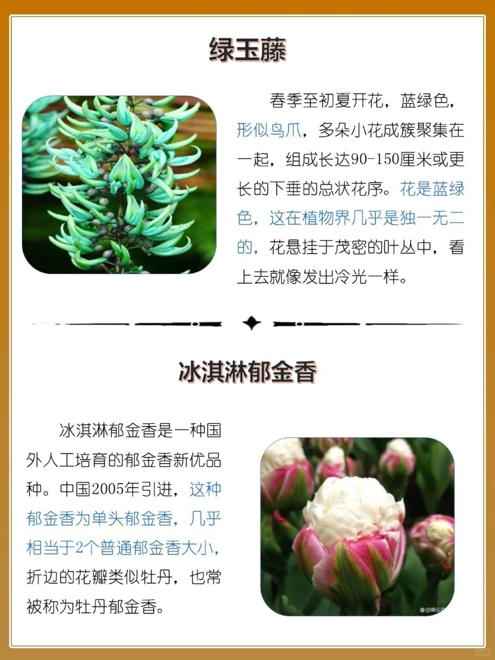 最奇葩16种长相怪异的植物，你认识几个？_中小学精品资料(高清可打印)_百科知识大全集312份高清资料整理版