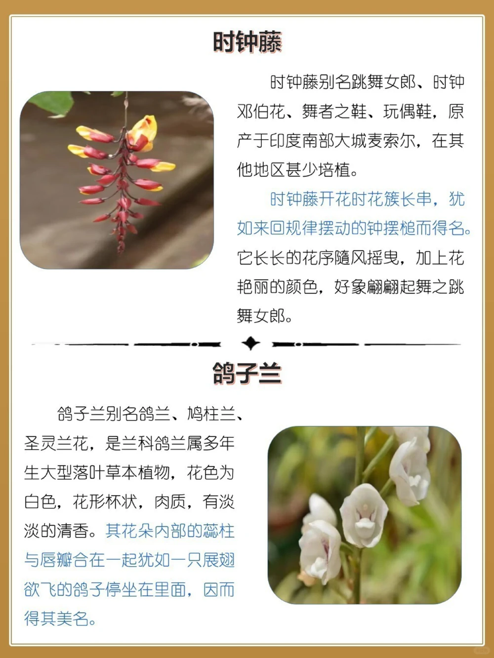 最奇葩16种长相怪异的植物，你认识几个？_中小学精品资料(高清可打印)_百科知识大全集312份高清资料整理版