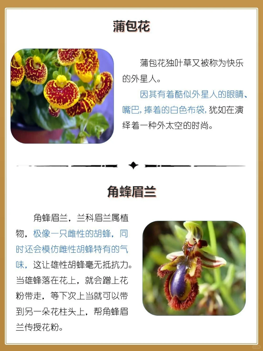 最奇葩16种长相怪异的植物，你认识几个？_中小学精品资料(高清可打印)_百科知识大全集312份高清资料整理版
