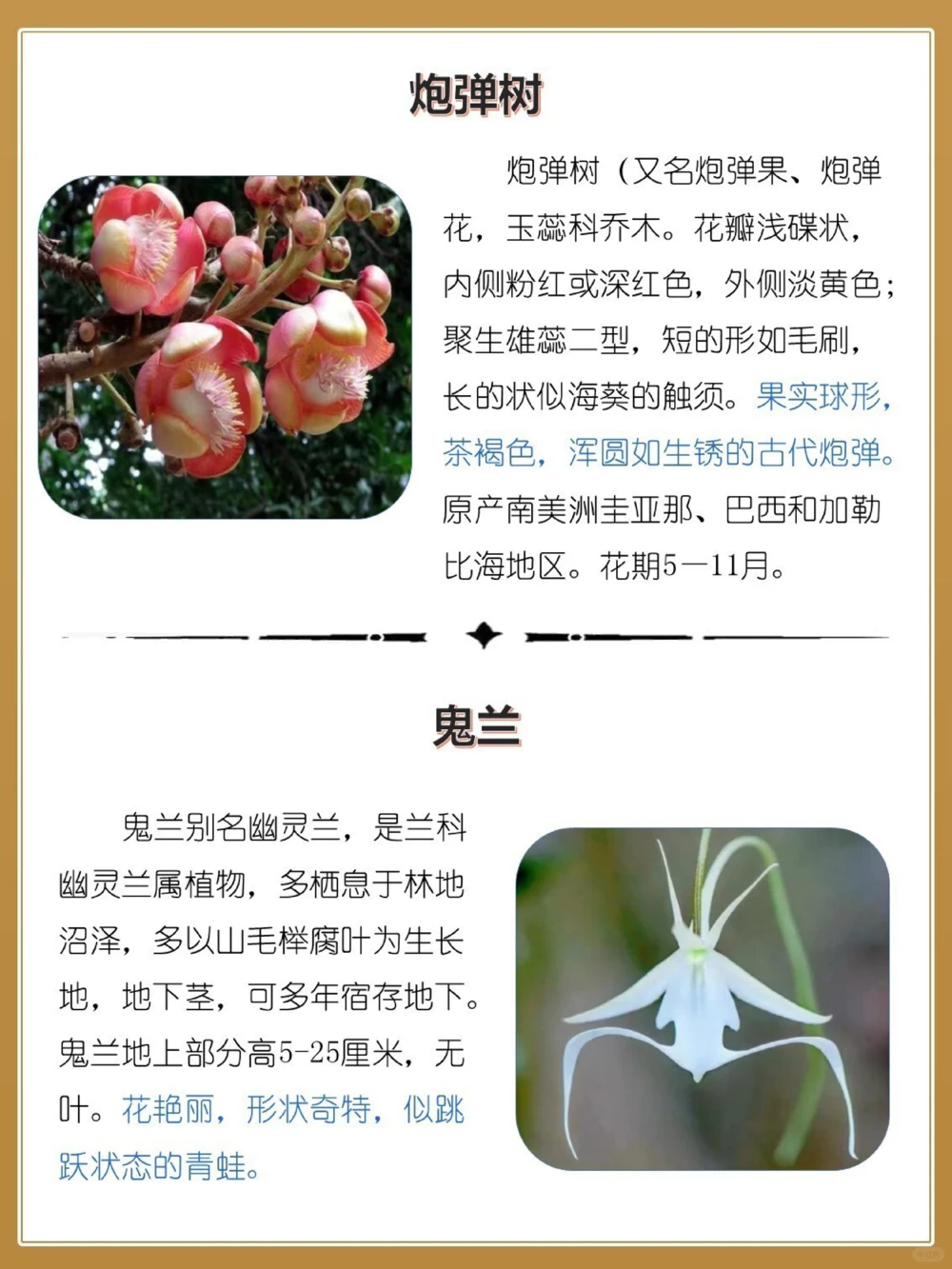 最奇葩16种长相怪异的植物，你认识几个？_中小学精品资料(高清可打印)_百科知识大全集312份高清资料整理版