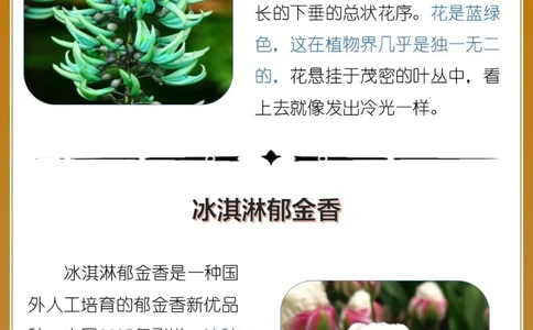 最奇葩16种长相怪异的植物，你认识几个？_中小学精品资料(高清可打印)_百科知识大全集312份高清资料整理版