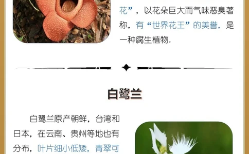 最奇葩16种长相怪异的植物，你认识几个？_中小学精品资料(高清可打印)_百科知识大全集312份高清资料整理版