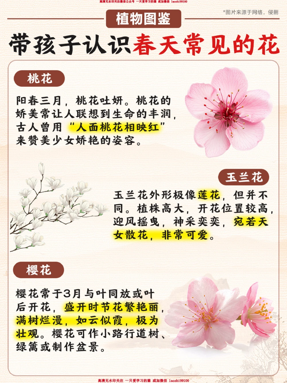 春天常见的花_2025抖音最火小学全科全年级资料大全集超完整版_小学常识VIP资源禁止外传