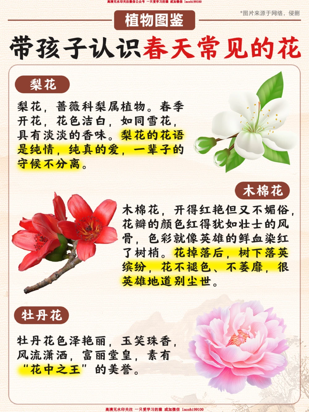 春天常见的花_2025抖音最火小学全科全年级资料大全集超完整版_小学常识VIP资源禁止外传