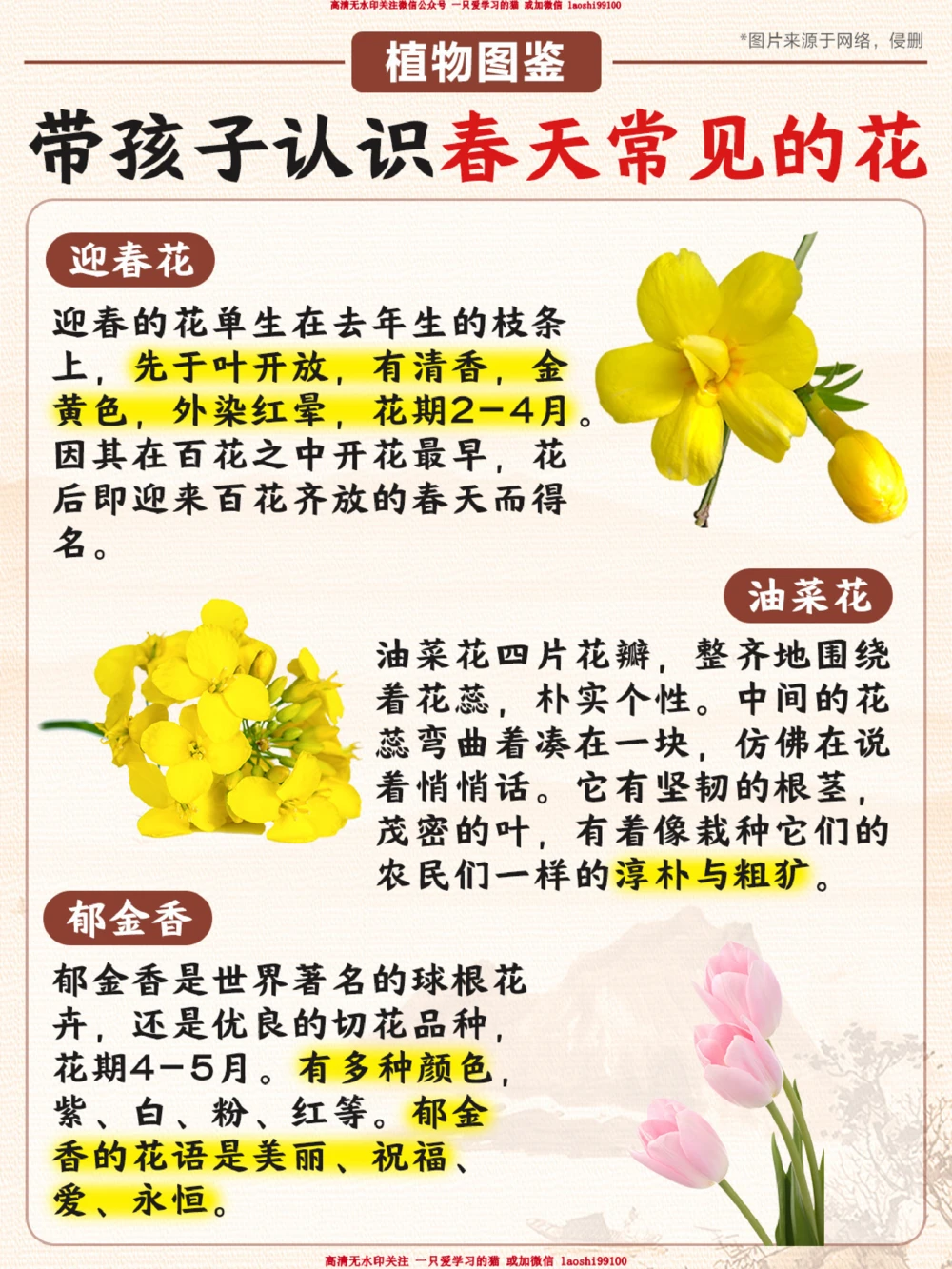 春天常见的花_2025抖音最火小学全科全年级资料大全集超完整版_小学常识VIP资源禁止外传