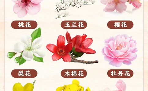 春天常见的花_2025抖音最火小学全科全年级资料大全集超完整版_小学常识VIP资源禁止外传