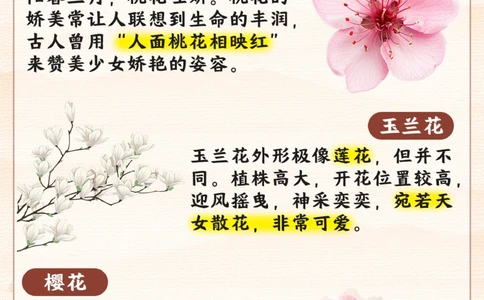 春天常见的花_2025抖音最火小学全科全年级资料大全集超完整版_小学常识VIP资源禁止外传