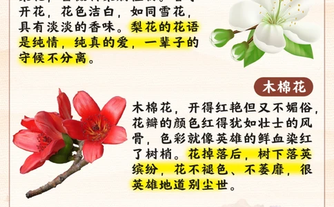 春天常见的花_2025抖音最火小学全科全年级资料大全集超完整版_小学常识VIP资源禁止外传