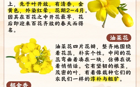 春天常见的花_2025抖音最火小学全科全年级资料大全集超完整版_小学常识VIP资源禁止外传