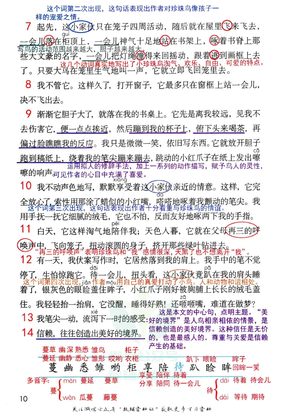 五年级下册语文部编版课堂笔记（倍速版）_小学初中学霸笔记类资料汇总6.33GB_小学同步课堂笔记2.76GB_1~6年级全册语文部编版课堂笔记