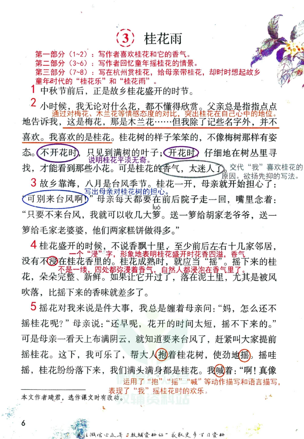 五年级下册语文部编版课堂笔记（倍速版）_小学初中学霸笔记类资料汇总6.33GB_小学同步课堂笔记2.76GB_1~6年级全册语文部编版课堂笔记