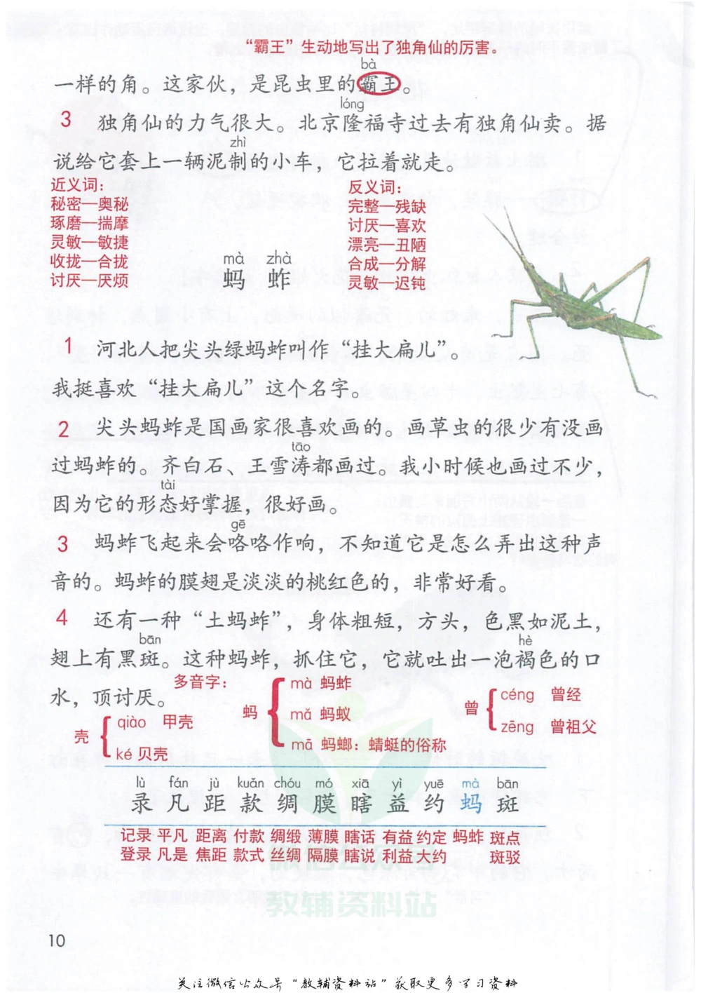 三年级下册语文部编版课堂笔记（抖音版）_小学初中学霸笔记类资料汇总6.33GB_小学同步课堂笔记2.76GB_1~6年级全册语文部编版课堂笔记